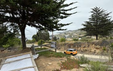 IMG_4910
