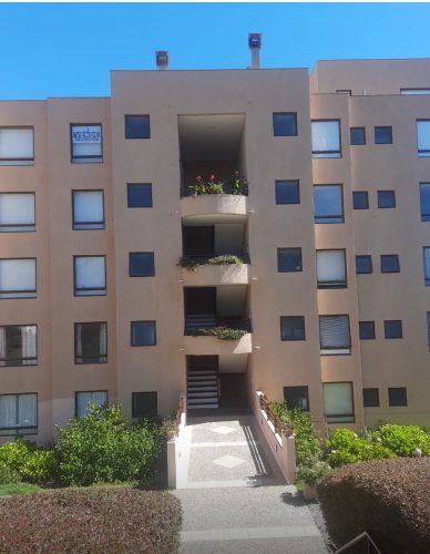 PHOTO-2026-05-31-18-55-50_3
