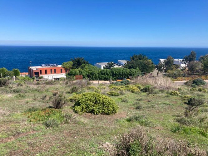 zapallar norte
