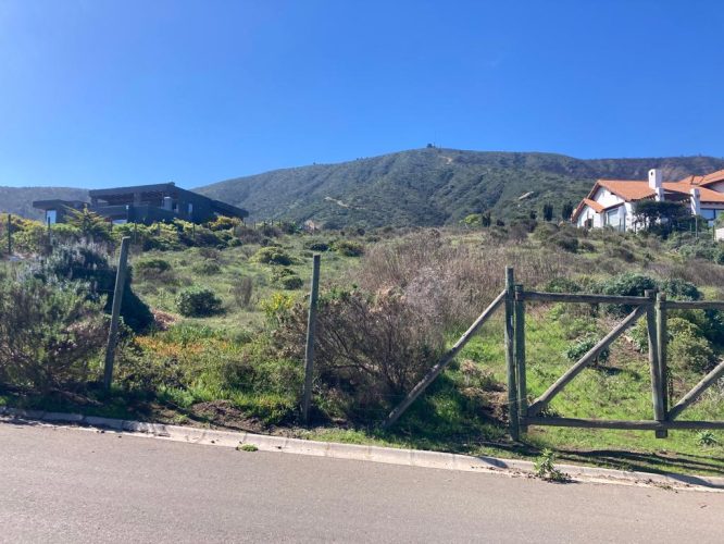 zapallar norte1